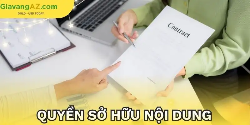 dieu-khoan-su-dung-quyen-so-huu-noi-dung